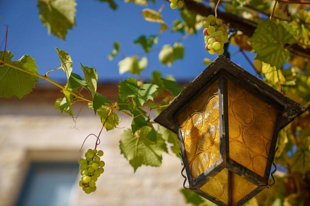 Chateau Du Raysse Villa Cazoules Eksteriør billede